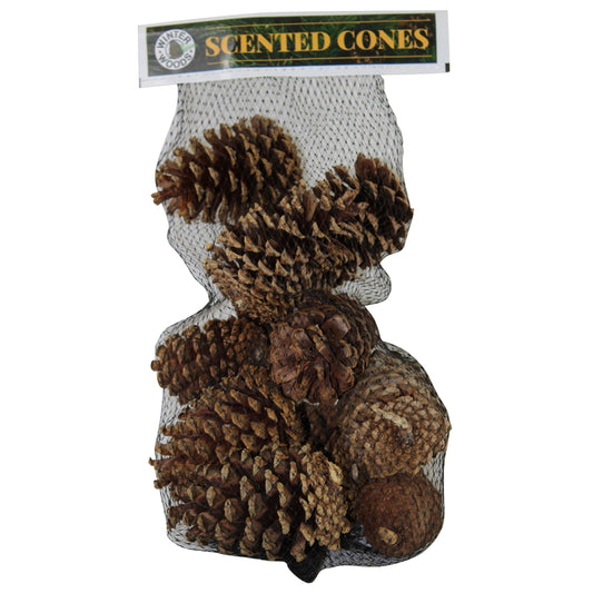 Winter Woods Cinnamon Scented Cones 14 pk (Pack of 10)