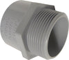 Cantex 3/4 in. Dia. PVC Male Adapter (Case of 50)