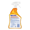 Lysol Brand New Day Mango & Hibiscus Scent Disinfectant 32 oz