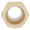 Charlotte Pipe FlowGuard Schedule 40 3/4 in. Socket  x 3/4 in. Dia. MNPT CPVC Adapter (Pack of 25)