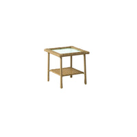 Living Accents Palmaro Tan Square Glass/Steel Side Table