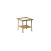 Living Accents Palmaro Tan Square Glass/Steel Side Table