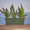 Bloem 5.75 in. H X 18 in. W X 7.5 in. D Plastic Window Box Green