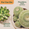 Miracle-Gro Cacti, Citrus and Palm Potting Mix 8 qt - Open Box