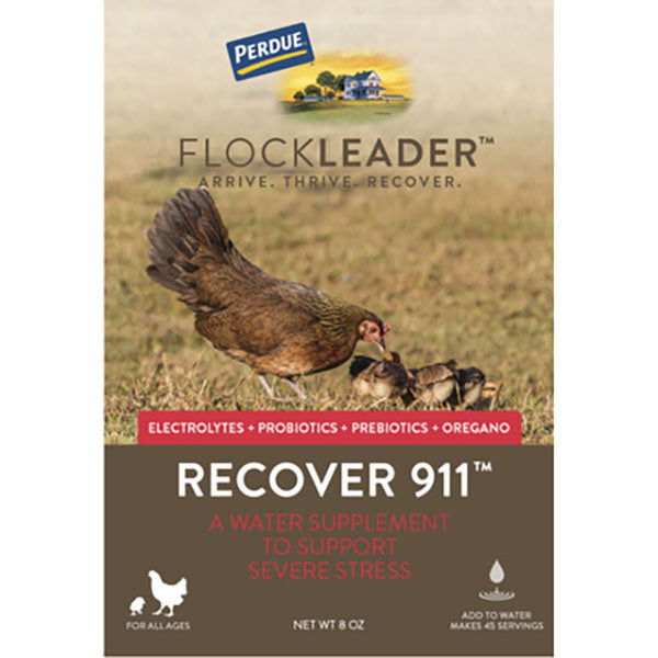 Perdue FlockLeader Recover 911 Poultry Supplement Powder 8 oz