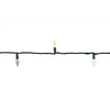 Celebrations Platinum LED C6 Multicolored/Warm White 50 ct String Christmas Lights 25 ft.