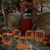 Celebrations White 216 ct 14 in. LED Prelit Short Foldable Pumpkin Tabletop Decor
