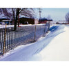 Tenax Black Polyethylene Snow Fence 4 H x 50 L ft.
