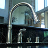 Danco For Universal Silver Chrome Kitchen Pullout Sprayer
