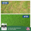 Turf Titan Root Booster Soil Amendment 6000 sq ft 32 oz (Pack of 6)