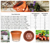Bloem TerraPot 10.7 in. H X 12 in. D Resin Planter Terracotta Clay
