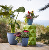 Bloem Dayton 5.75 in. H X 6 in. D Plastic Planter Ocean Blue