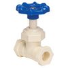 Homewerks 3/4 in. CTS X 3/4 in. CTS CPVC Stop Valve - Deal of The Week