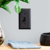 Amerelle Black 2 gang Stainless Steel Toggle Wall Plate 1 pk