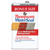 Thompson's Waterseal Smooth Clear Solvent-Based Multi-Surface Waterproofer 1.2 gal.