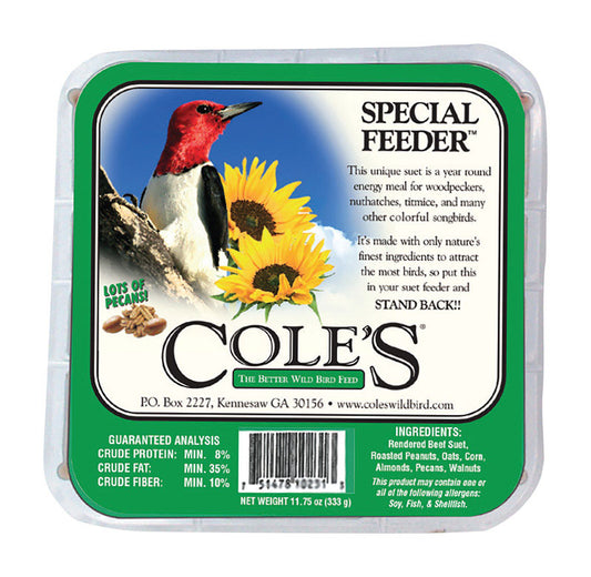 Cole's Special Feeder Assorted Species Beef Suet Wild Bird Food 11 oz