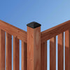 Simpson Strongtie Outdoor Accents 4 in. W x 4 in. L Black Plastic Post Cap