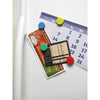 Magnet Source 1.25 in. L X 0.25 in. W Assorted Disc Magnets 0.5 lb. pull 1 pk