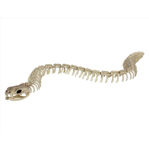 Decoración de mesa con esqueleto de serpiente y estaciones