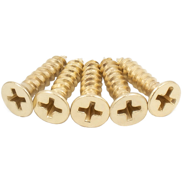 Door Hinge Screws, #9 x 3/4", 800-Pack, Polished Brass by Stone Harbor Hardware
