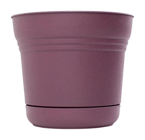 Bloem 8.5 in. H x 9.8 in. Dia. Resin Saturn Passion Fruit Planter (Pack of 6)