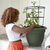 Bloem Ariana 10.25 in. H X 13 in. W X 12 in. D Plastic Traditional Planter Living Green