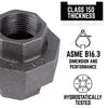 STZ Industries 1 in. FIP each X 1 in. D FIP Black Malleable Iron Union (Pack of 5)