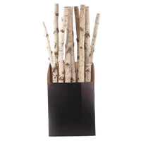 Second Nature Natural Birch Branches 32 in. (Pack of 10)