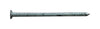 Pro-Fit 2 in. Box Hot-Dipped Galvanized Nail Flat Head 1 lb
