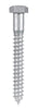 Hillman 1/2 in. X 4 in. L Hex Hot Dipped Galvanized Steel Lag Screw 25 pk