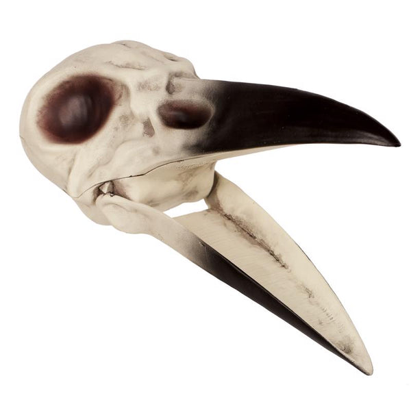 Decoración de Halloween con cabeza de esqueleto de pájaro de 3 pulgadas de las estaciones