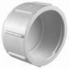 Charlotte Pipe Schedule 40 1 in. FPT x 1 in. Dia. FPT PVC Cap (Pack of 25)
