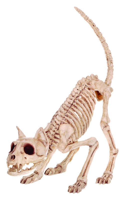 Seasons Plastic Cat Skeleton Kitty Bonez Halloween Decoration 20 L x 7.5 H x 6 W in.