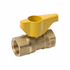 Homewerks 1 in. Brass FIP Gas Ball Valve