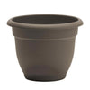 Bloem Ariana 5.25 in. H X 6.5 in. W X 6 in. D Plastic Traditional Planter Peppercorn