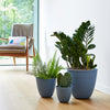 Bloem Dayton 5.75 in. H X 6 in. D Plastic Planter Ocean Blue