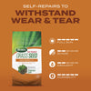 GRASS SEED+FRTZR 5.6LB