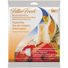 Web FilterFresh Tropical Bay Scent Air Freshener 0.8 oz. Gel