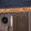 Celebrations Clear/Warm White Incandescent Mini Light Set 17 L ft. with 300 Bulbs
