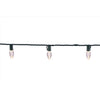 Celebrations Platinum LED C7 Warm White 50 ct String Christmas Lights 25 ft.
