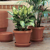 Bloem TerraPot 10.7 in. H X 12 in. D Resin Planter Terracotta Clay