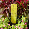 Taylor ClearVu Rain Gauge/Sprinkler Ground 1.18 in. W X 2.76 in. L - Deal of The Week