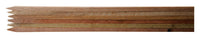 Bond 3/4 in. W Brown Wood Plant Support