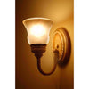 Feit A19 E26 (Medium) LED Bulb Soft White 100 Watt Equivalence 2 pk