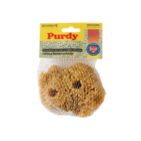 Purdy Symphony Sea Sponge