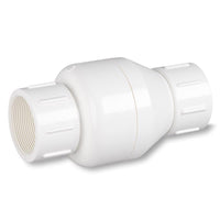 Homewerks 2 in. D X 2 in. D FIP PVC Spring Loaded Check Valve - Deal of The Week