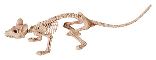 Seasons Assortment of Animal Skeletons Halloween Decoration 6 H x 22 W x 10 L in. (Pack of 12)