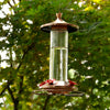 Perky-Pet Hummingbird 12 oz. Copper/Glass Nectar Feeder 4 ports (Pack of 2)