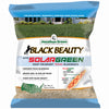 Black BeautyÂ® Texas Bluegrass Grass Seed 3 Lb