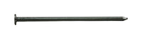 Pro-Fit 3 in. Box Bright Steel Nail Flat Head 1 lb - Deal of The Week